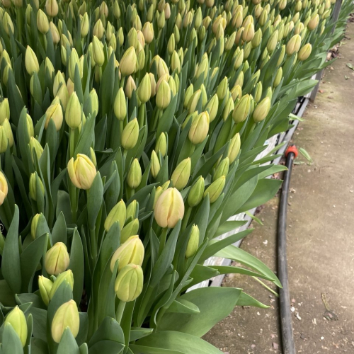 Photo 2026 06 13 14 50 17